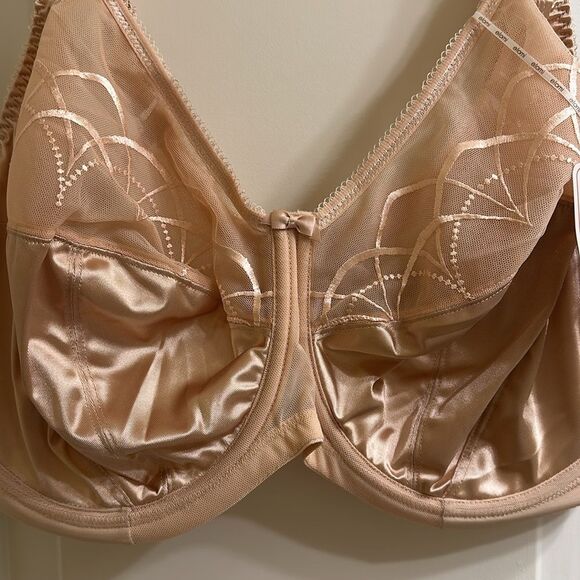 Elomi Cate Full Cup Banded Bra EL4030 Latte NEW Size 40I Underwire - Picture 4 of 14